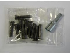 Lot de 10 vis + embout